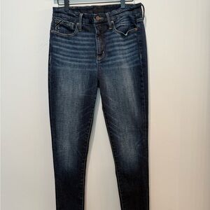 Buckle Black Dark Wash Skinny Jeans